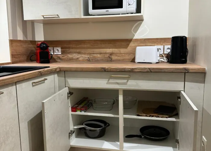 公寓 Blue Stan 南锡